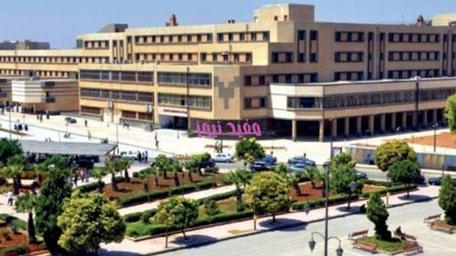 نتائج كلية التربية جامعة البعث